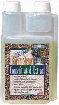 Barley Straw Extract - 1 liter